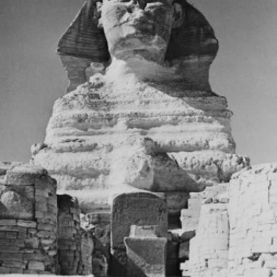 Egypt  Giza  The Sphinx  low angle view Poster Print (18 x 24)