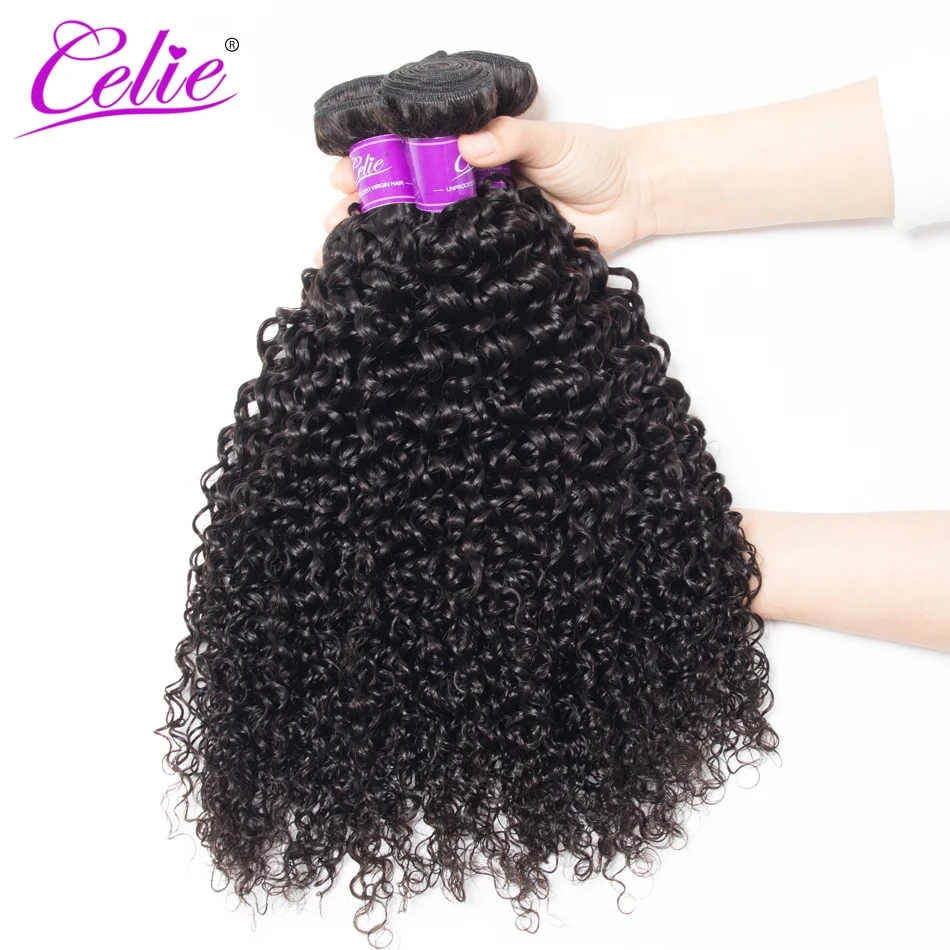Celie Hair Peruvian Curly Hair 4 Bundles 100% Human Weave Bundles Natural Black Color Remy Human Extensions