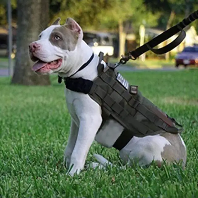 Tactical Dog Vest Harness Military Molle Army Green Harness For Small Medium Large Dogs Patrol Training Size S M L XL