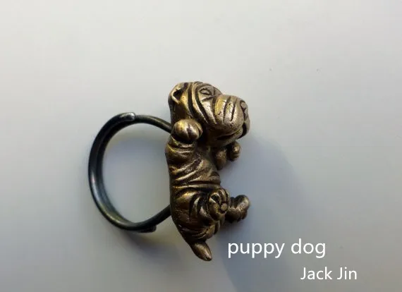 Shar pei puppy dog3