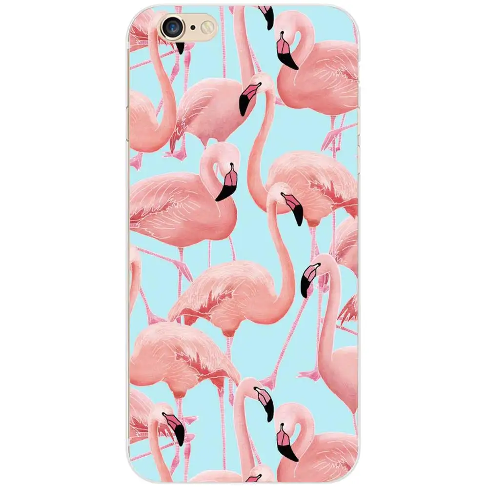 flamingos4