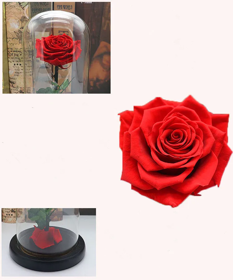 A1_