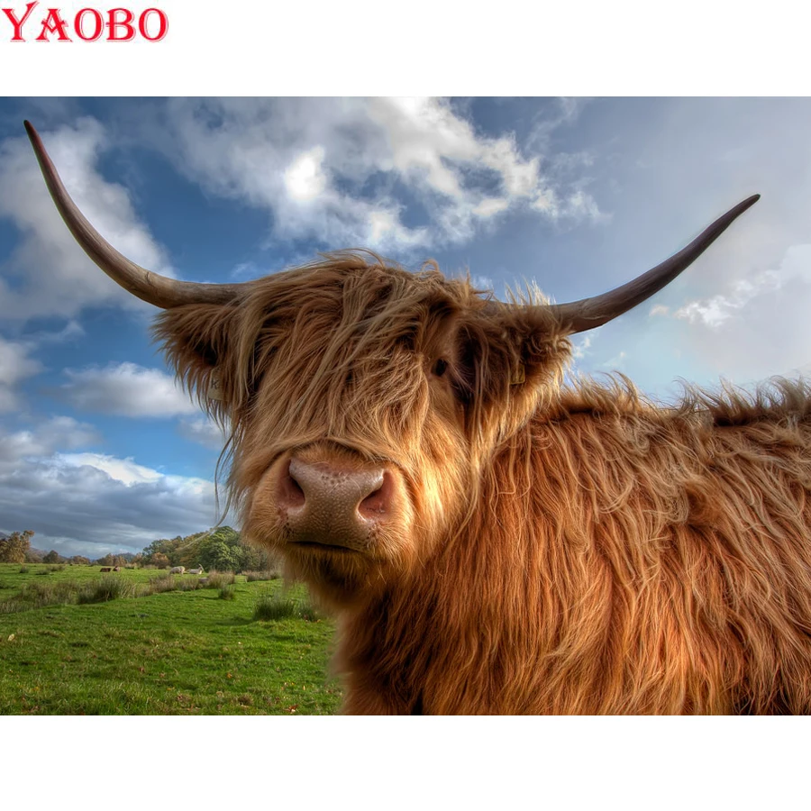 Diy 5d алмазная картина Highland Крупный рогатый скот полная квадратная круглая дрель