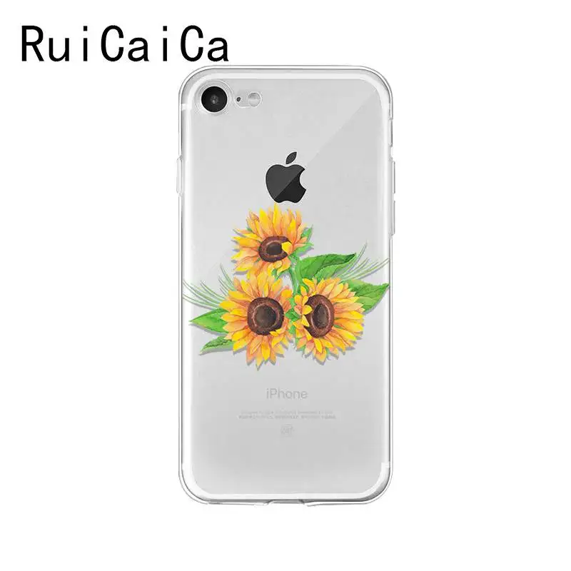flower plant peony rose sunflower Lotus