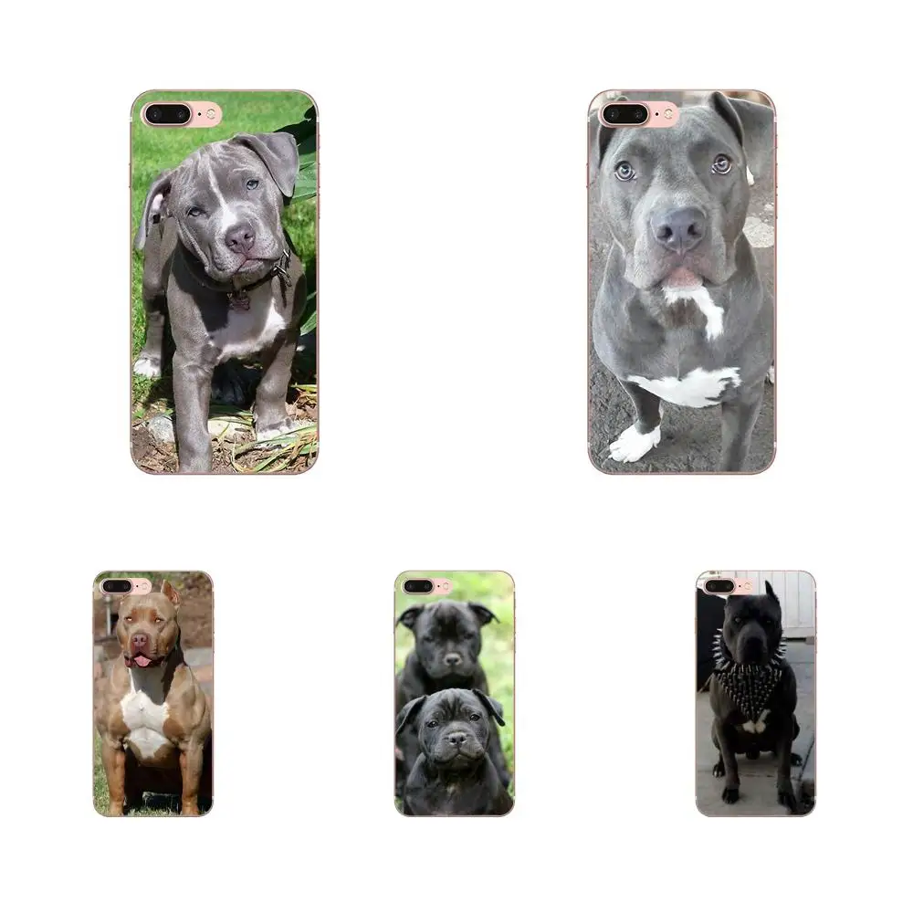 Soft Silicone TPU Transparent Cell Phone Case Cover For Apple iPhone 4 4S 5 5C 5S SE 6 6S 7 8 Plus X XS Max XR Pitbull Dog Puppy | Мобильные