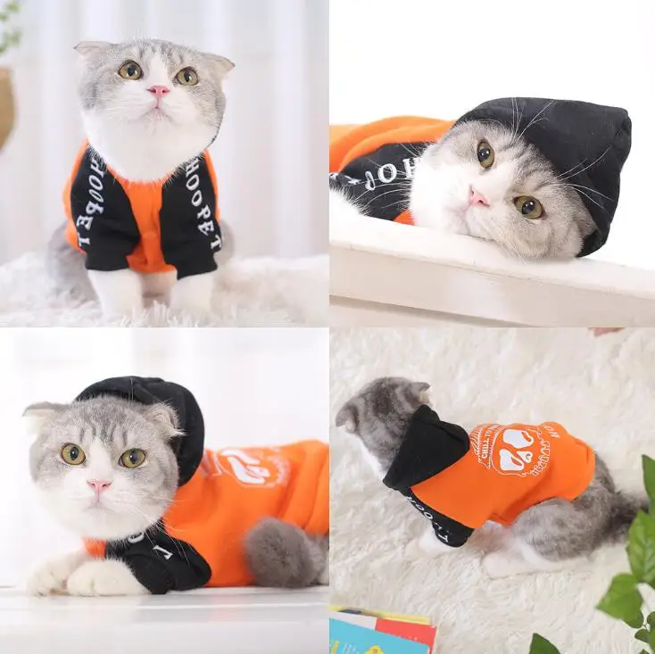 Распродажа оранжевый/белый осень зима толстовки для питомцев череп кошка пальто Одежда для кошек Одежда для собак одежда Teddy Appreal