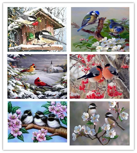 

Diy daimond painting resin mosaic diamond painting full square drill diamond 3d cross stitch embroidery Birds