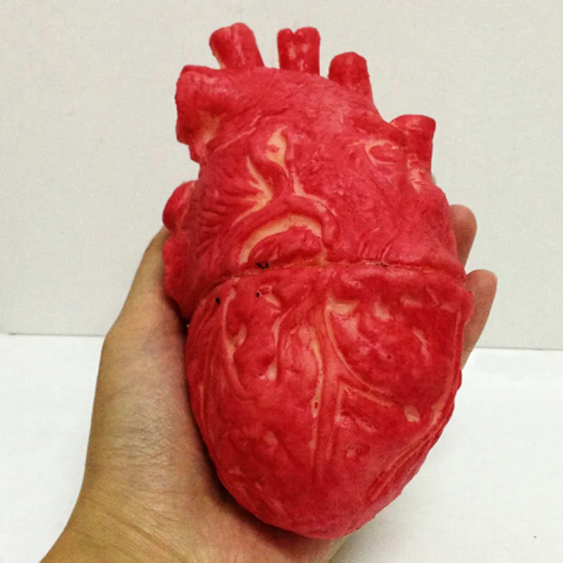 

Halloween Fake Bloody Human Heart Zombie Food Chop Shop Body Part Organ Horror Prop Party Accessories April Fool's Day Decor