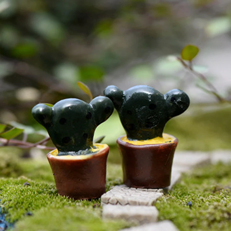 Miniatura de cactos vender por atacado miniatura de cactos ... Decoración Fazenda cerca
