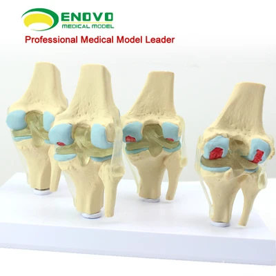 TB225JrlpXXXXcQXXXXXXXXXXXX_!!631837267.jpg_.webp_400x400