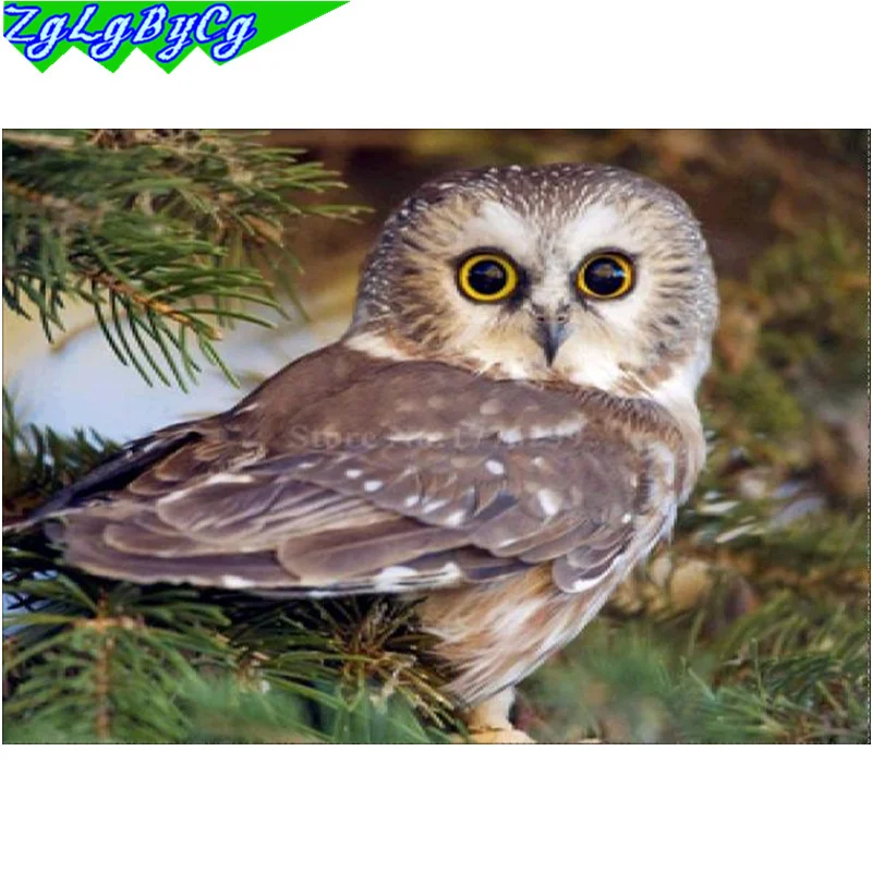 

DIY 5D Diamond Animal Owl full Diamond Painting Cross Stitch Kits Diamond Embroidery Patterns Rhinestones M031