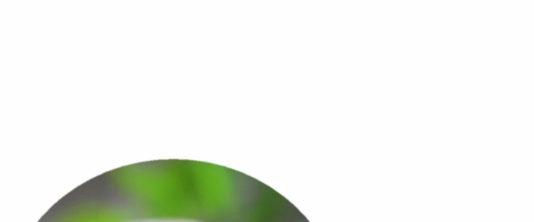 TB2EfhDhyCYBuNkSnaVXXcMsVXa_!!579305221