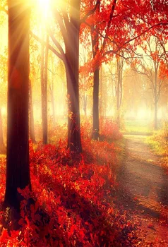 

Laeacco Autumn Hazy Red Leaves Trees Forest Scenic Photography Backgrounds Vinyl Custom Photographic Backdrops For Photo Studio