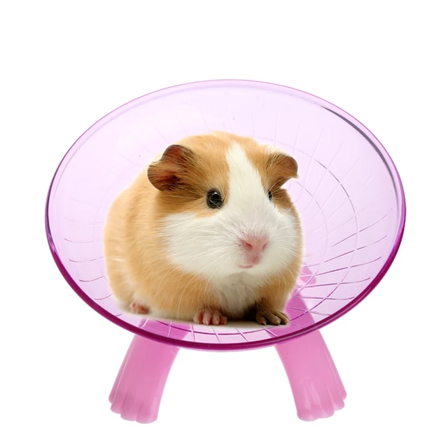 hamster mouse running disc