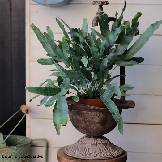 

faucet design retro handcrafted rustic metal vase urn flower pot planter