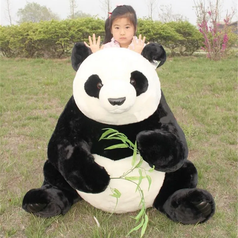 panda 5