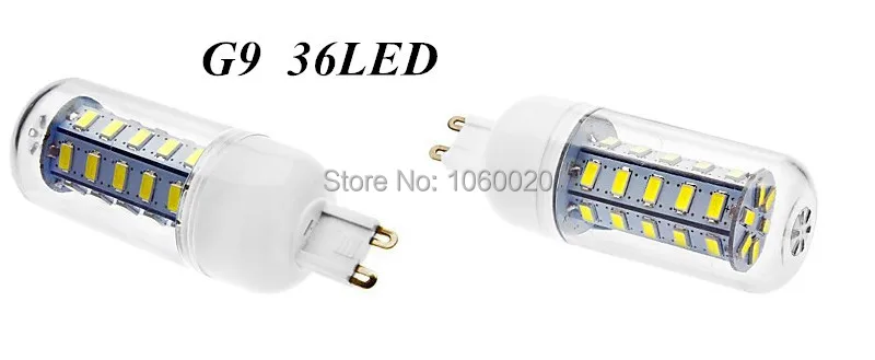 G9  36LED.jpg