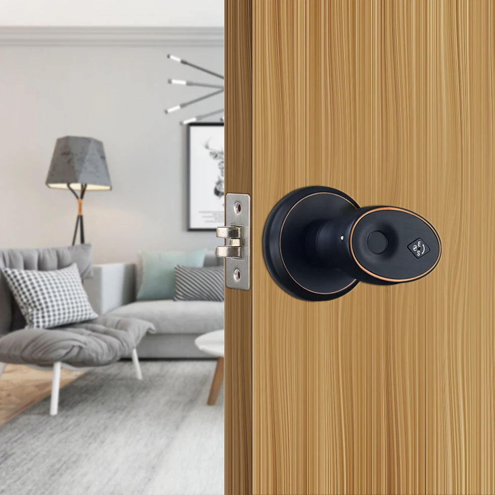 

Zinc Alloy Stainless Biometric Fingerprint Door Lock Security Cylinder Door Lock Waterproof Electronic Door Lock