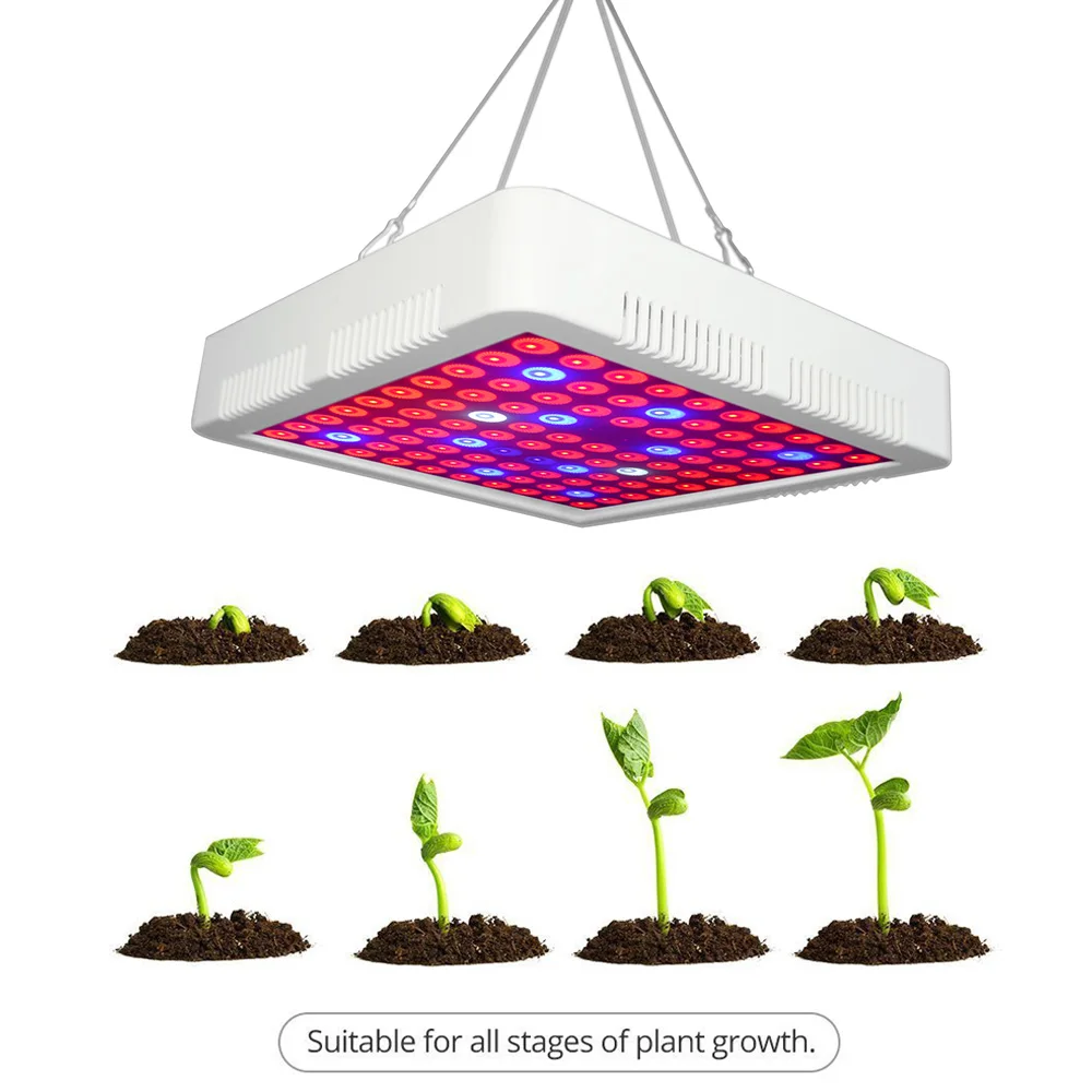 300w Led Full Spectrum Plant Grow Lights Square Shape 100 Leds