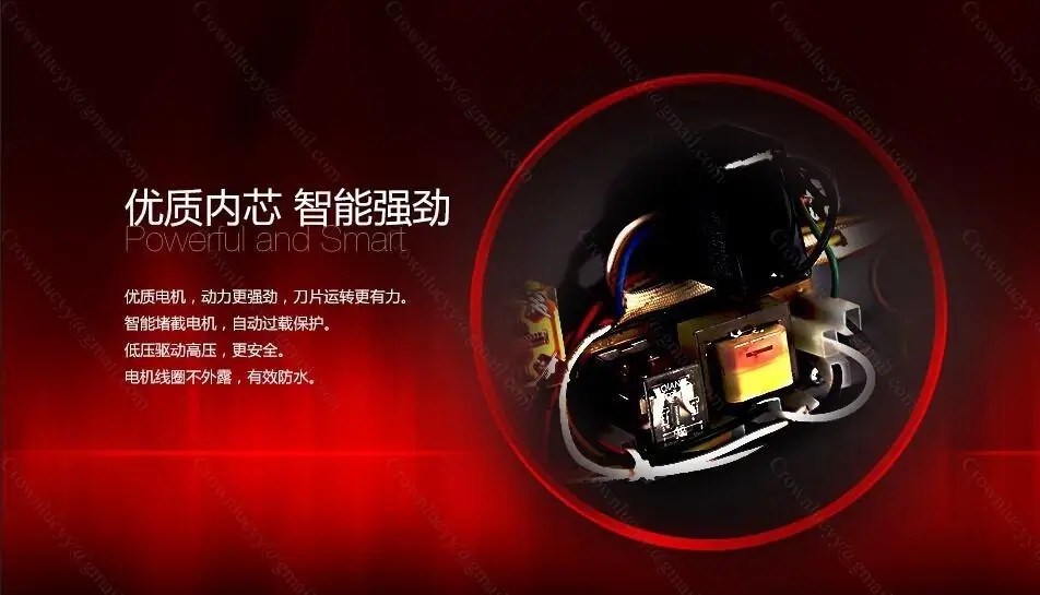 conew_1 (3)