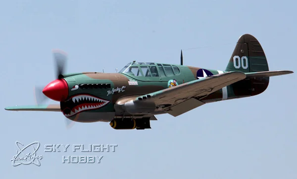 p40 c-31