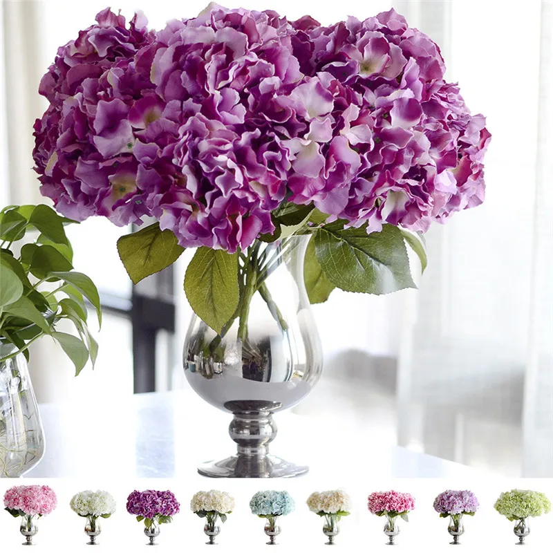 ZS461 (1)
