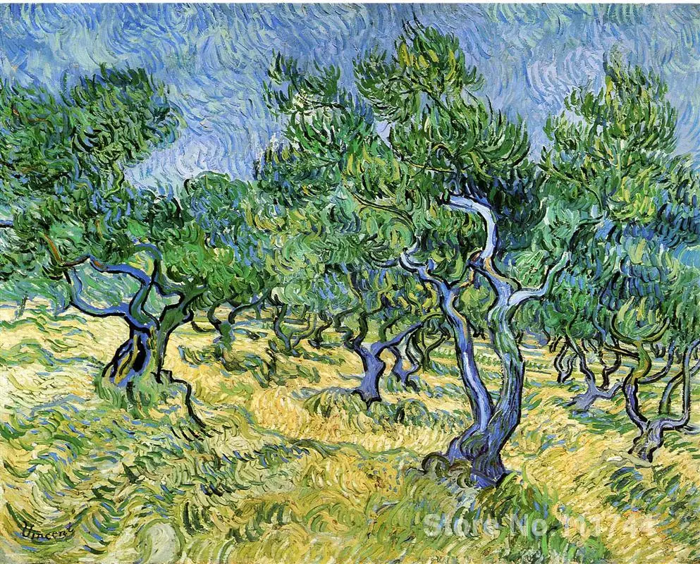 

Vincent Van Gogh paintings of Olive Grove impressionism art High quality Hand painted