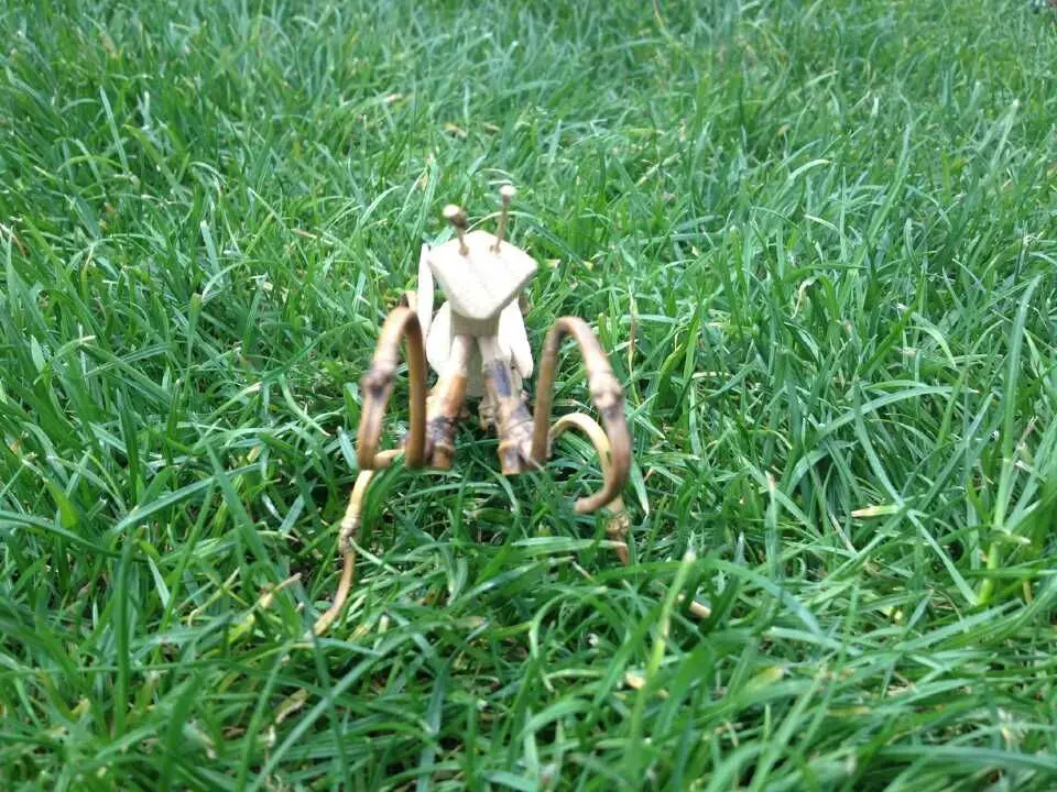 Bamboo mantis украшения игрушки бамбуковые поделки (A231)|craft|craft toyscrafts ornament |