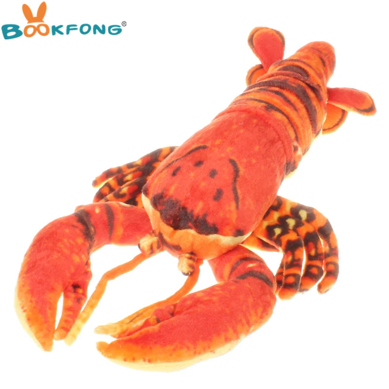 HTB1_wkmQpXXXXXxapXXq6xXFXXXR