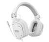 Earphones & Headphones