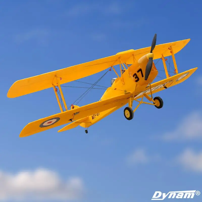 dynam tiger moth