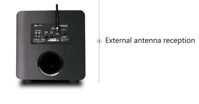 ws9 subwoofer (10)