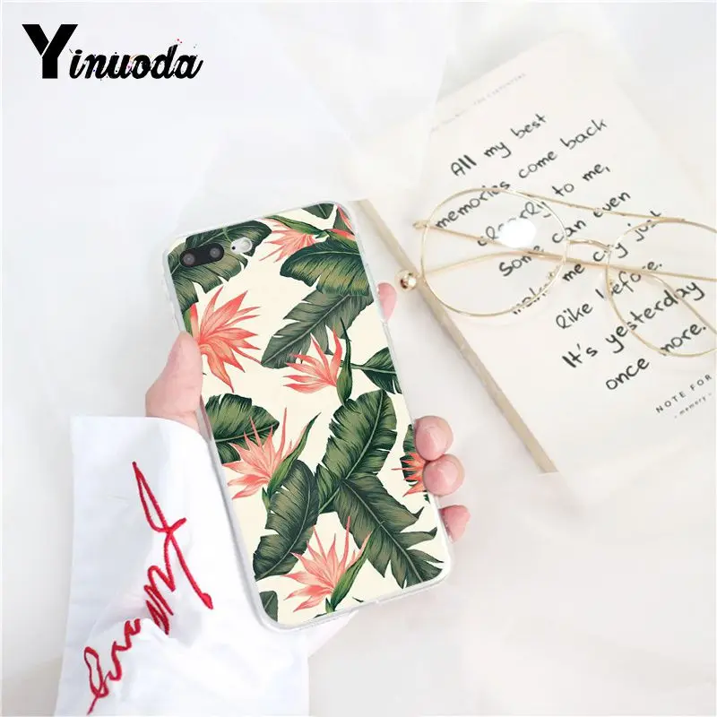 Tropical Plants Cactus Banana Leaves