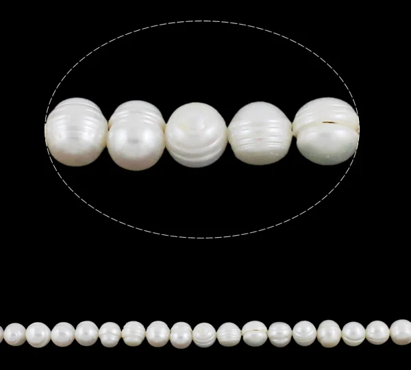 15540_5