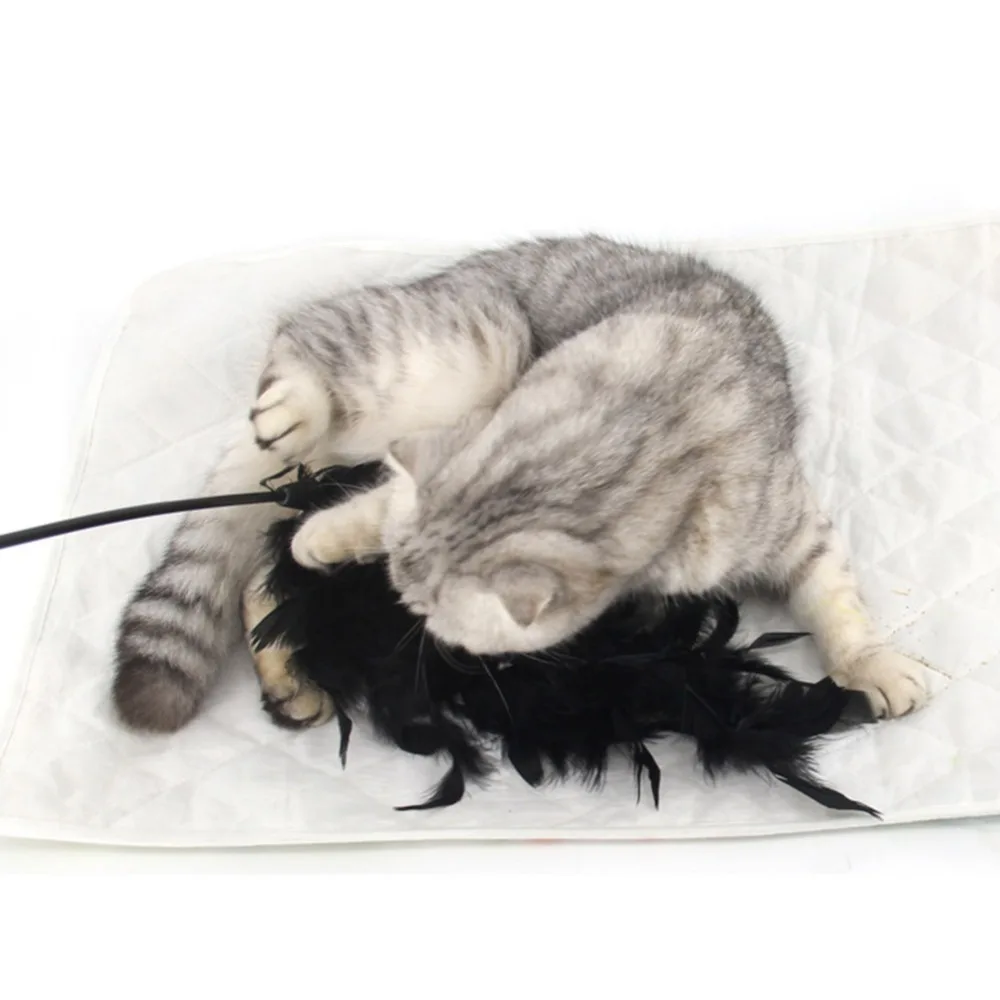 Buy 3 Colors Cat Rod Pet Kitten Feather Toys Feathers