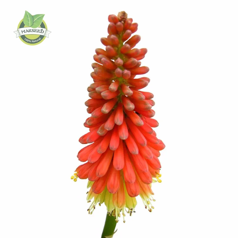 Online Buy Wholesale pretty red flower from China pretty red Online Buy Wholesale pretty red flower from China pretty red