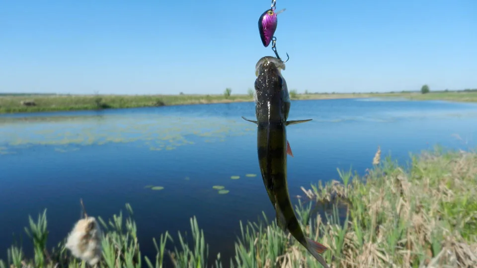 5 шт./лот 1,5g 3 см Topwater 0,1-0,5 м японский Воблер для домашнего использования Летающая мини-рыболовный воблер рукоятками для приманки