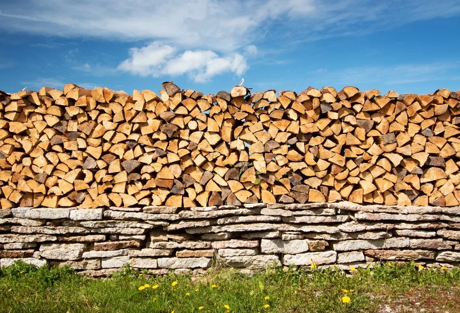 NBK06461