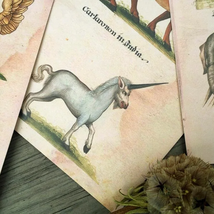 

96pcs/lot NEW Vintage Animal postcard set Nice Gift card Students DIY tools Office school supplies