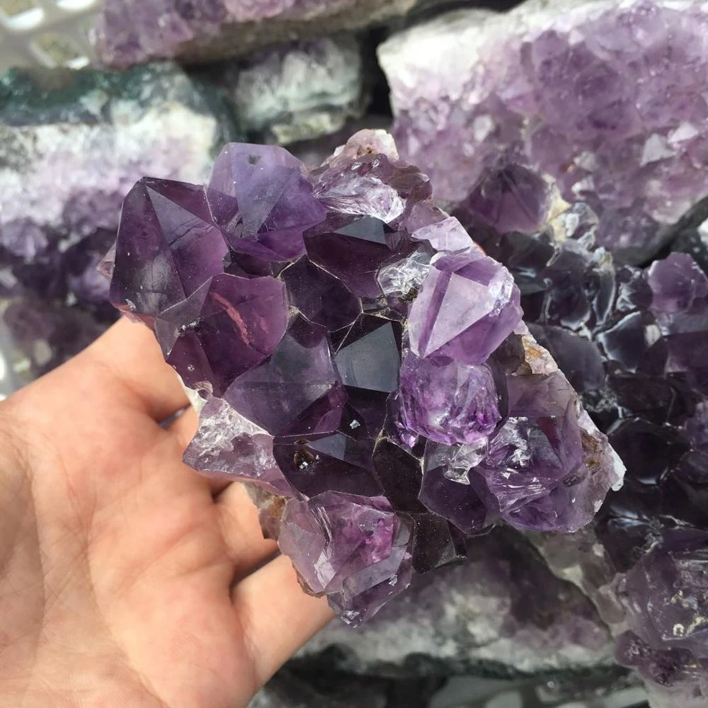  palabra clave  Mejor Gratis