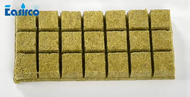 HTB16VLJjx6I8KJjSszfq6yZVXXac