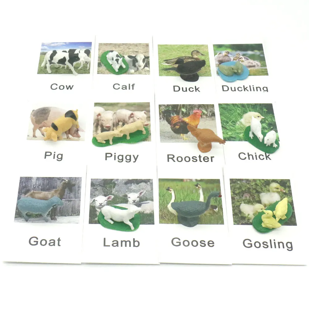Montessori Language Material Words Learning Farm Animal Matching Educational Toys For 3 Year Olds Juguetes Montessori F2644H