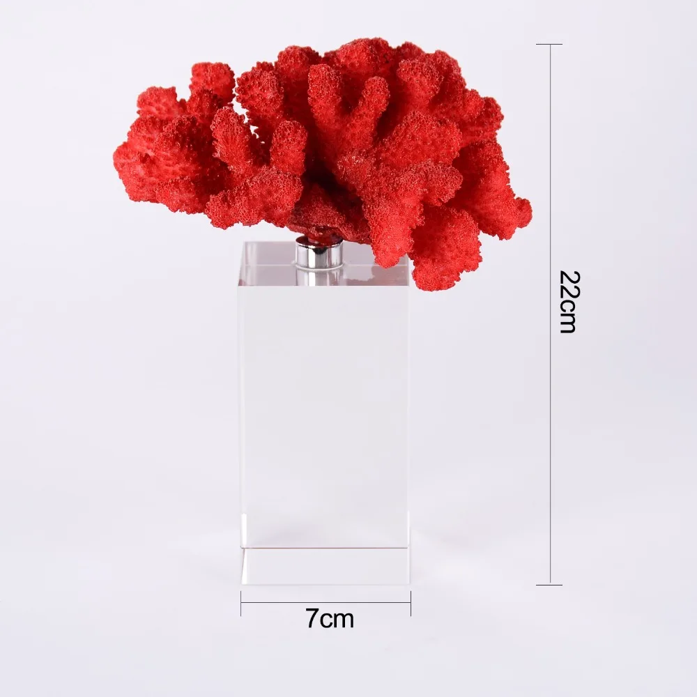 5cm