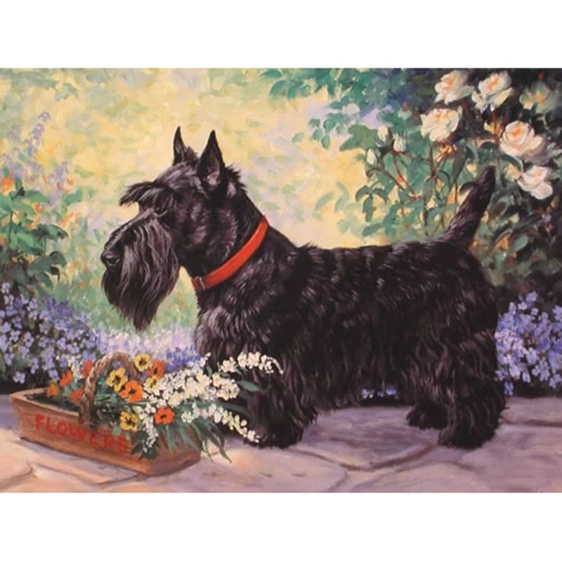 Scottie%20in%20Garden_jpg