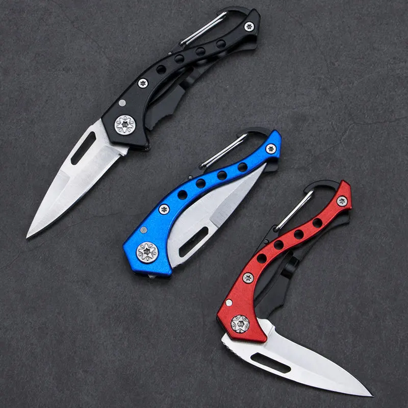 Small Folding Knife with Keychain Stainless Steel Outdoor Camping Hiking Hunting Gadget Knifes Mutifunction Fruit Knife Portable