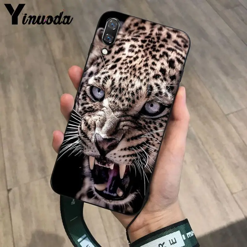 Tiger Leopard Print Panther