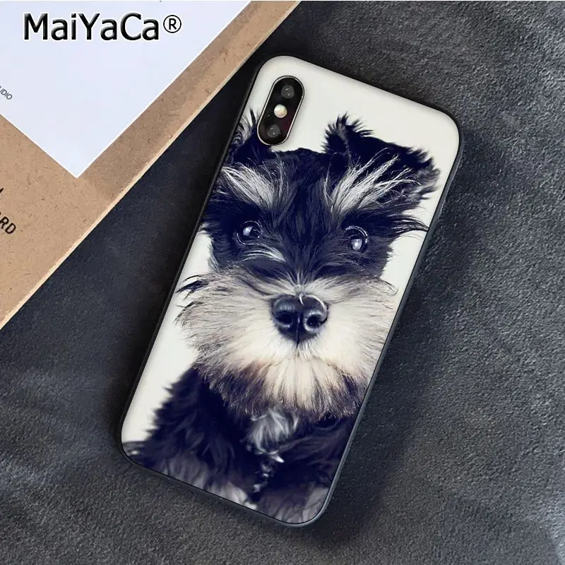 Lovely Dogs Schnauzer 
