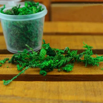 

10 Mini Boxes Green Dried Moss Grass Filler For Epoxy Resin Pendant Necklace Jewelry Making Craft DIY Accessories