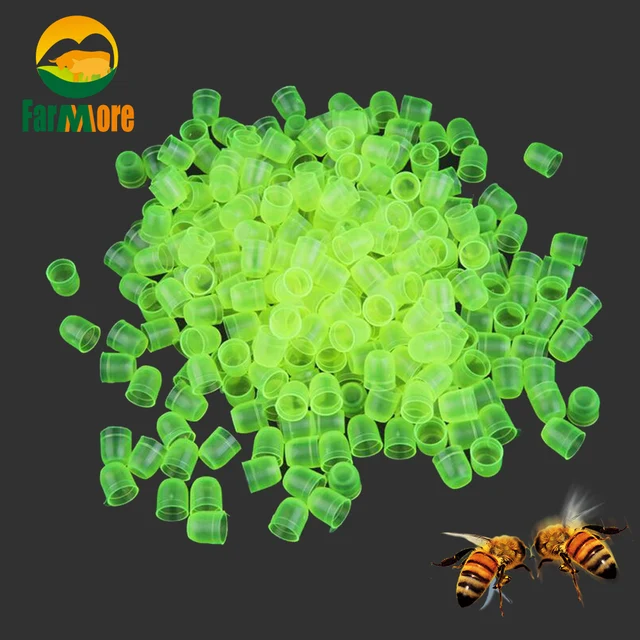 1000 pz/lotto Ape Queen Cellulare Tazza di Queen Ape Allevamento La Fertilità De 1000 pz/lotto Ape Queen Cellulare Tazza di Queen Ape Allevamento La Fertilità De