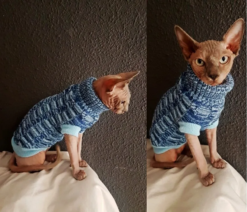 

Light Blue/Pink Sphinx Cat Sweater Pet Jumper Cat clothes Dog Jumper Sweater For Small Dogs Cat XS S M L XL XXL